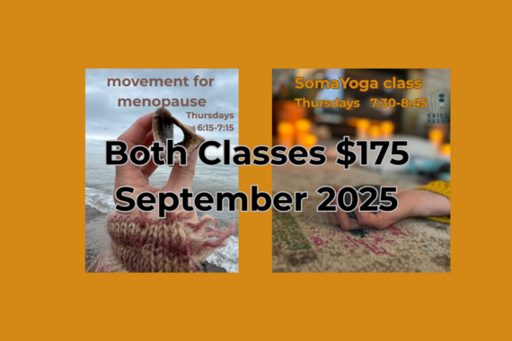 yoga booking image